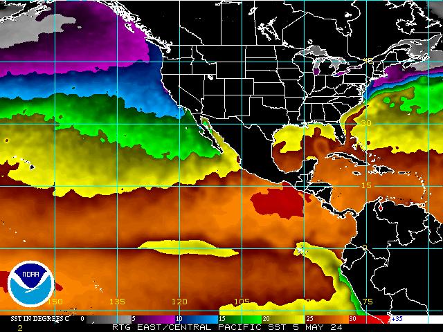 Eastern Pacific Daily SST Analysis