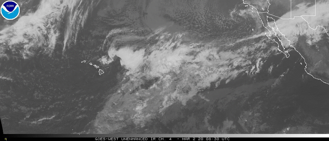 http://www.ssd.noaa.gov/goes/west/tpac/ir4-animated.gif